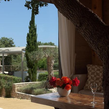 Vila Stolidi Mou Treehouse Atsipopoulo Exteriér fotografie